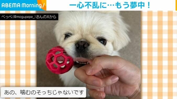 ぺっぺちゃん