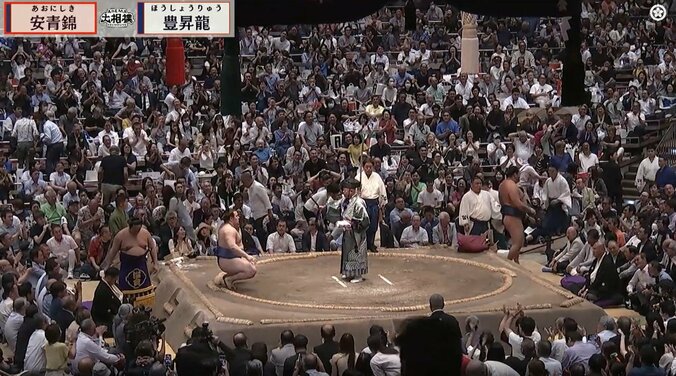 豊昇龍の背後に座布団が