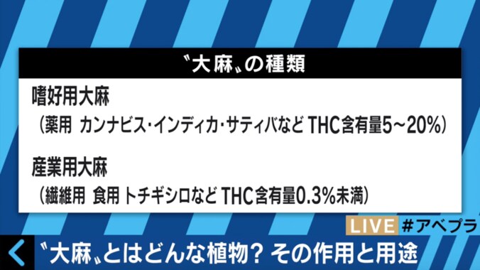 大麻栽培の許可得ても所持で逮捕　産業用大麻とはいったい何か、専門家が解説 3枚目