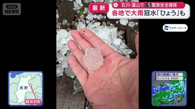 粒の大きさは、かなりのものだった