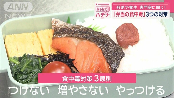 急増「弁当の食中毒」3つの対策