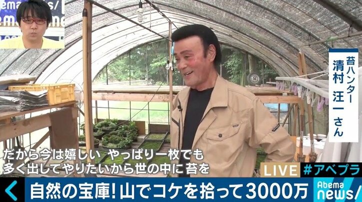 カブトムシやコケを売って年間3000万円の売上も…日本の山が持つ意外なポテンシャル