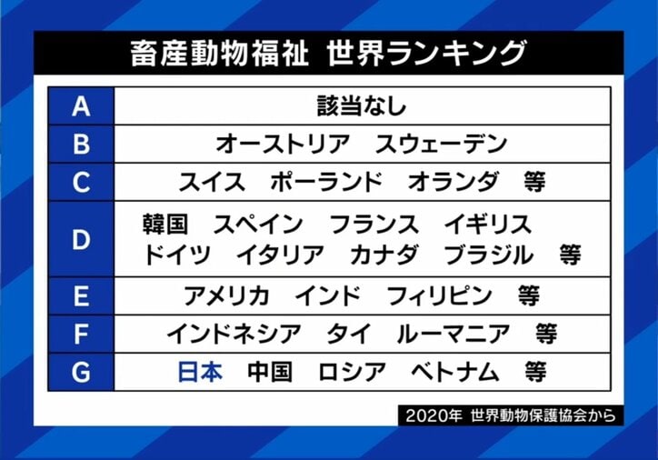 畜産動物福祉 世界ランキング
