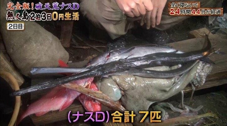 ナスDのワイルドすぎる“海中ランチ”に反響！  視聴者から「無呼吸おどり食い」「産地直食」の声