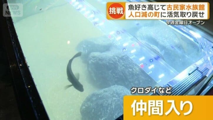クロダイなど仲間入り