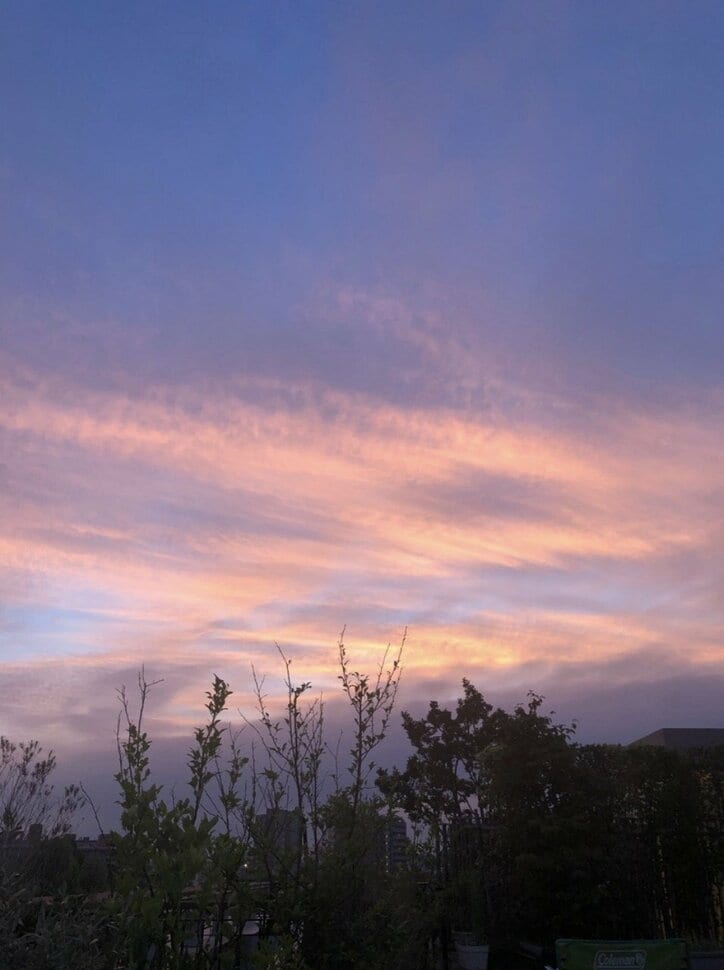 市川海老蔵、麻央さん旅立ちの日を振り返る「どんな時も明るく可愛く素直でステキな人でした」