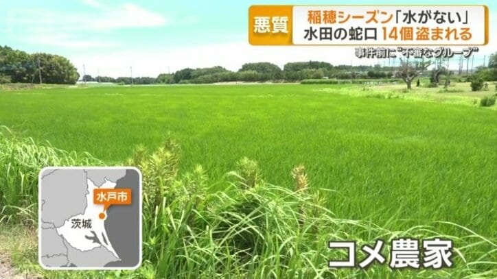 茨城県水戸市のコメ農家