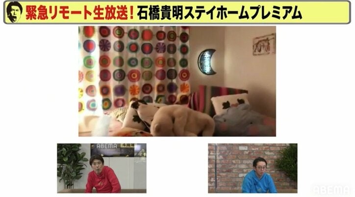 水原希子、自宅を公開し下着が映るハプニング!サービス精神溢れる姿に視聴者「いい子すぎ」「ファンになりました」