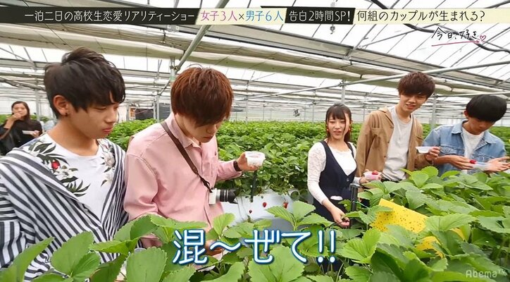 最強モテ女子を巡る男たちの戦いが遂に決着!涙涙の『今日好き』最終回SP