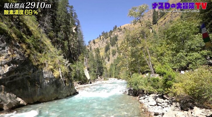 “クルミ”は梨のような甘味？ ナスDが見た美しすぎるヒマラヤの紅葉