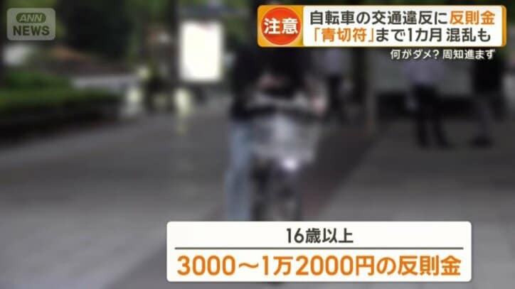 16歳以上対象で3000～1万2000円の反則金