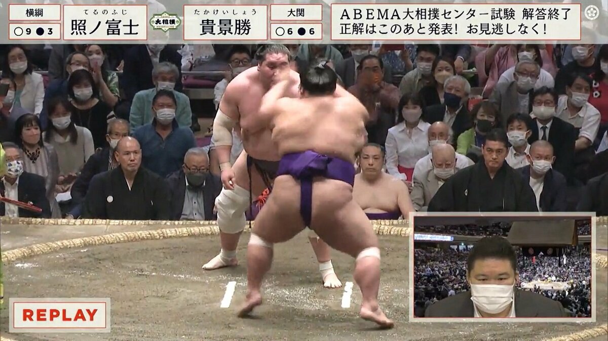 猫 騙し 相撲