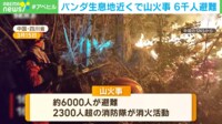 【映像】中国 パンダ生息地近くで山火事 2300人を超える消防隊が消火活動