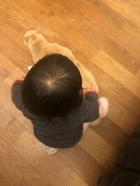 大渕愛子『緊急事態宣言』