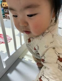 よめぽん（ANZEN漫才あらぽん嫁）『保育園見学の持ち物』