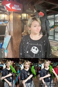 misono『呟いて下さる人のおかげで拡散されてるのでアンチにも感謝してるから『いいね＝有り難う』おしてます。』