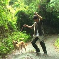 山田裕貴、犬との“ふれあいショット”に「本当に心のキレイな人」「優しさに泣ける」の声