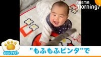 【映像】猫に“もふもふビンタ”された赤ちゃん ビックリ→満面の笑みで視聴者ほっこり
