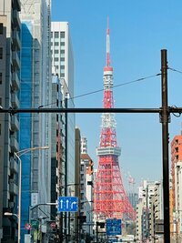 だいたひかる『妊娠中からやめられない物』