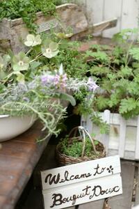 『”6月に入りました。”もうすぐ放映！AbemaTVブロガーゴロー！』