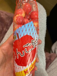 宮崎謙介『金子さんのお土産』