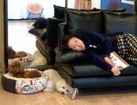 岡田聖子『悪阻期間...(ﾉД)』