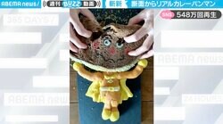 カットしたカレーパンから国民的サブキャラ登場！完成と思いきや“衝撃的な結末”に「すごく悲惨な光景」困惑の声