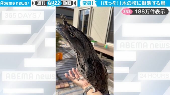 【写真・画像】【最高のアイデア】カニの口から泡出すぎ！センスが光るハンドソープがSNS上で話題「子供が何回も押して中身がすぐになくなりそう！」　2枚目