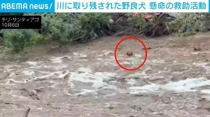 モロチョ