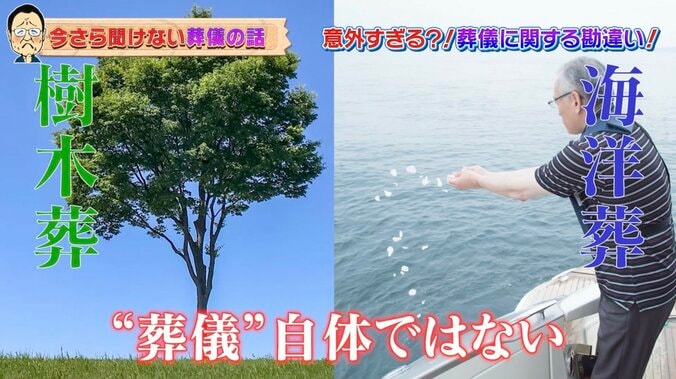 【写真・画像】梅沢富美男、自身が亡くなった後の“理想の見送られ方”語る「気に入ってる場所に…」　2枚目