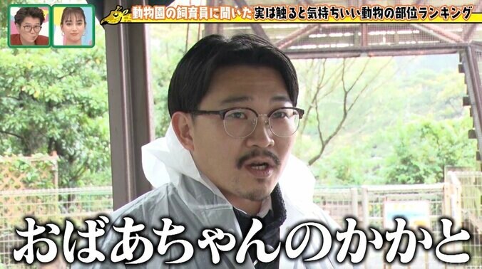 オズワルド伊藤、40分遅刻で雨の動物園ロケ「仕事した感じがしない」と不完全燃焼 5枚目