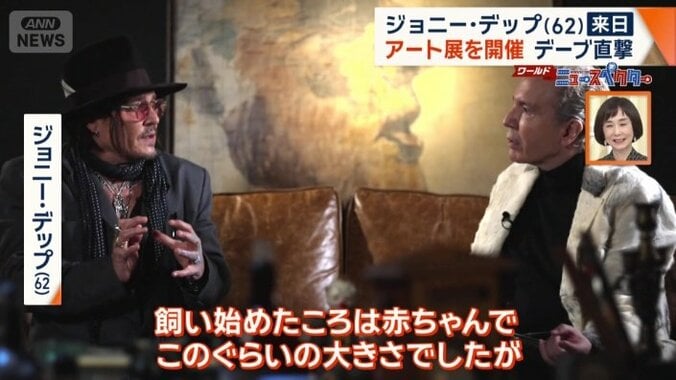 愛犬について語るデップ氏