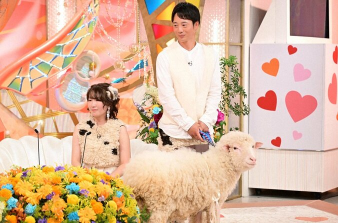 「かわいー！」羊衣装で登場した新妻に井上咲楽がうっとり！羊牧場を営む新婚さん登場 2枚目
