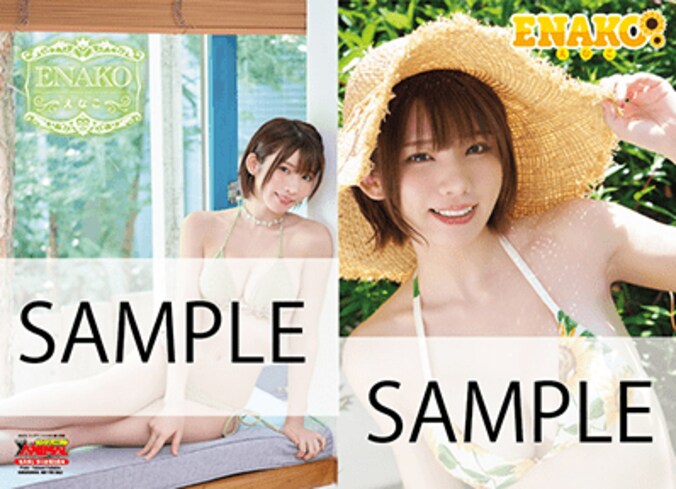 えなこ両面クリアファイル　Takanori Fujishiroiro