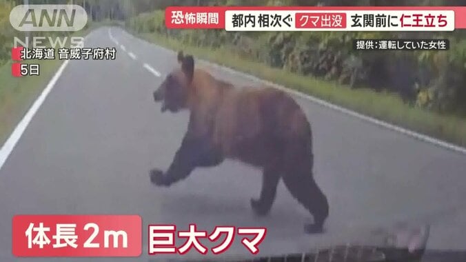 クマの出没