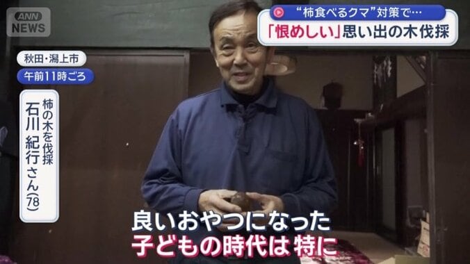 3年前に自宅の柿の木を切った