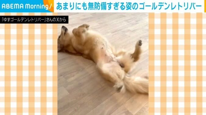 ゆずちゃん