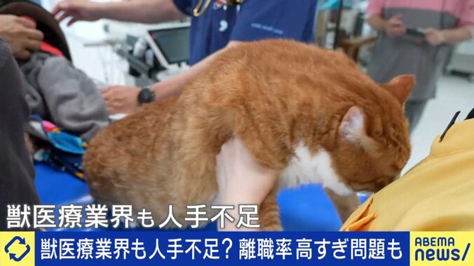 獣医師が不足