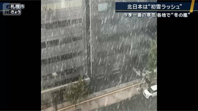札幌市でも雪