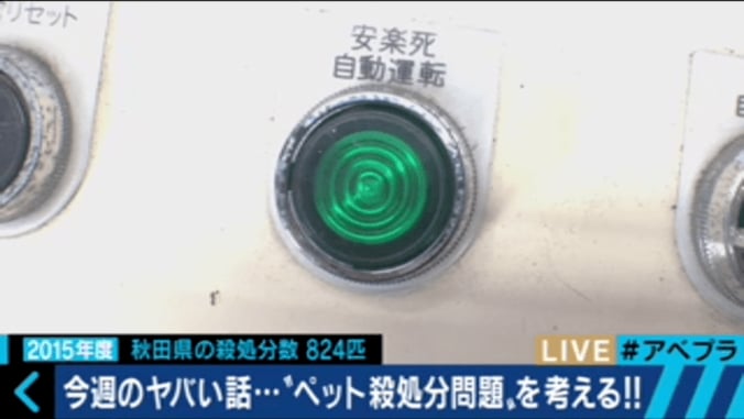 杉本彩、命の尊さを問う　ペット殺処分問題に「抜本的な改革が必要」 2枚目
