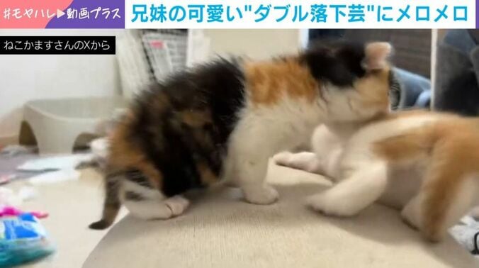 楓橙くんと胡晴ちゃん
