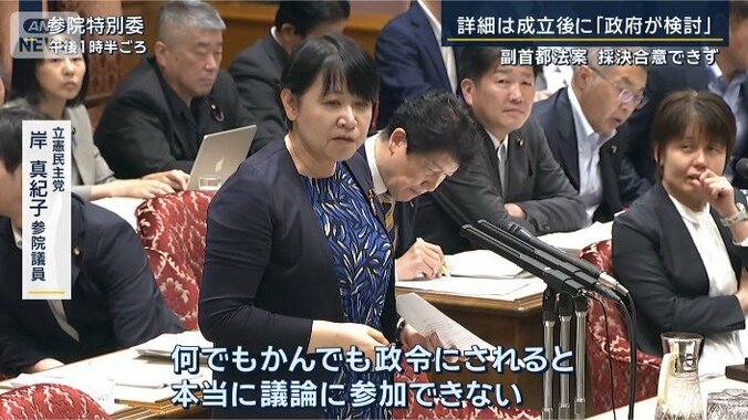 立憲民主党　岸真紀子参院議員
