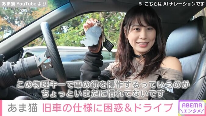 あま猫 YouTubeより