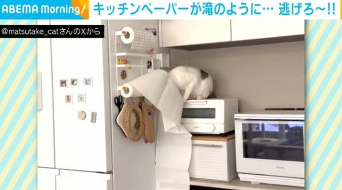 ネコのおでんくん