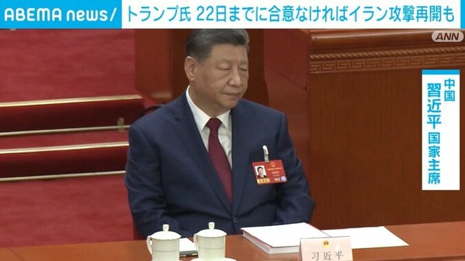 習近平 国家首席