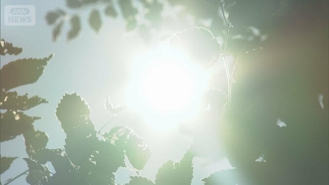 三重で今年最高40.6℃「酷暑日」相次ぐ 1枚目