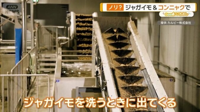 ジャガイモを洗う時に出てくる