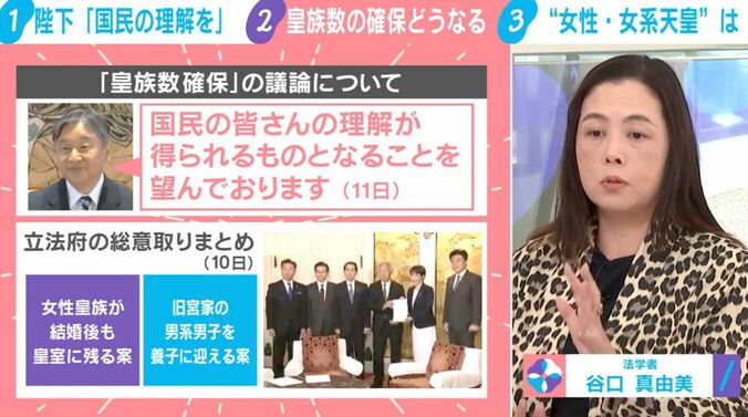 「皇族数確保」の議論について