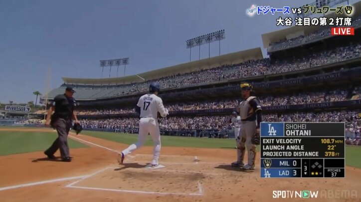 【映像】大谷の34号ホームランで“相棒が迎え入れる”今季初のシーン