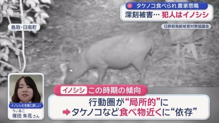 「行動圏が局所的になりやすい」